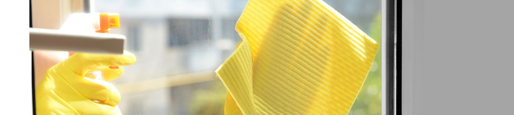 bond cleaning north brisbane