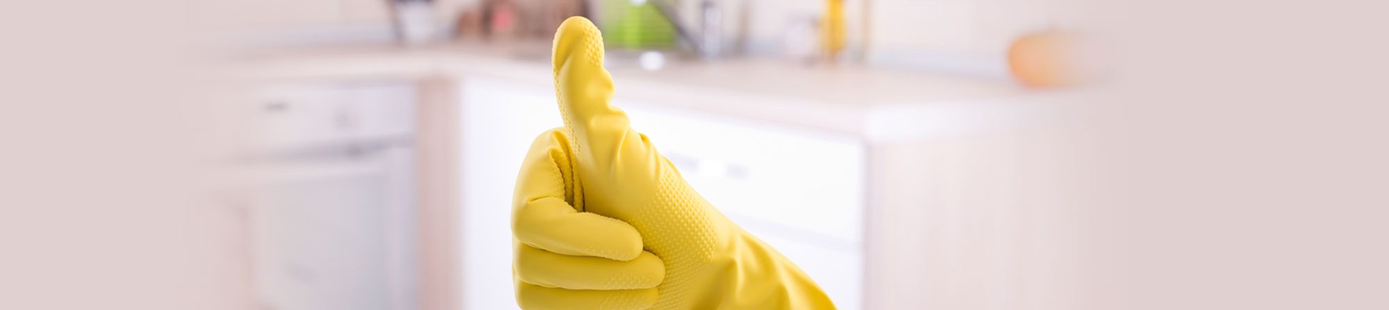 bond cleaner north Brisbane